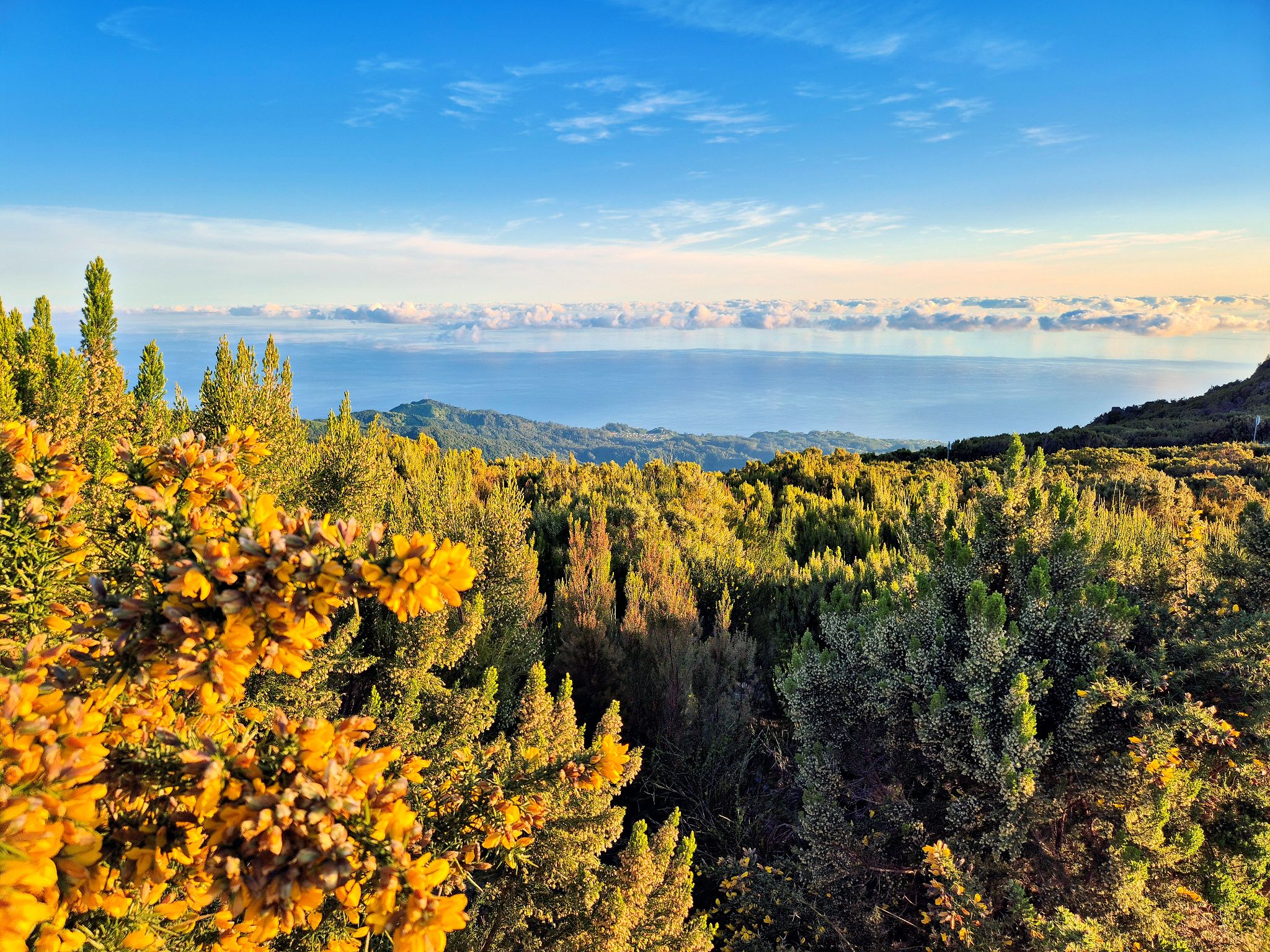 Frühmorgentliche Wanderung zum Pico Ruivo